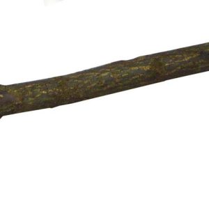 SP branche en bois naturel, grande, 35cm