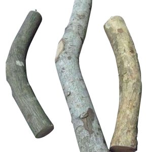 SP perchoir en bois naturel D40mm, L45cm