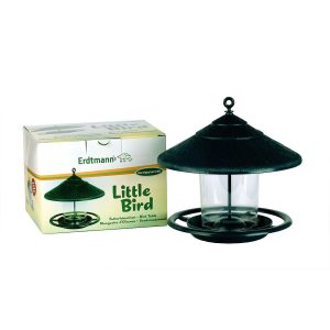 Erdtmann mongeoire Little Bird