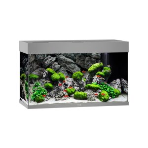 Juwel Aquarium Rio 125, 81x36x50cm, gris 125L,2x11W LED,filtre 500L/h,chauf. 100W