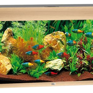 Juwel Aquarium Rio 180 101x41x50cm clair 180L,2x17W LED,Filt. 600L/h,chauf 200W