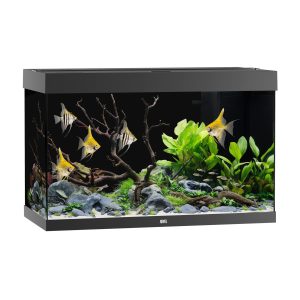 Juwel Aquarium Rio 290 101x51x66cm sw 290L,2x17W LED,Filter 1000L/h,Heizer300W