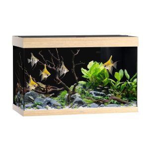 Juwel Aquarium Rio 290 101x51x66cm hell 290L,2x17W LED,Filter 1000L/h,Heizer300W