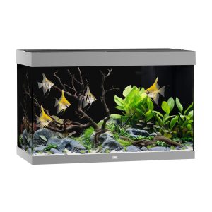 Juwel Aquarium Rio 290 101x51x66cm grau 290L,2x17W LED,Filter 1000L/h,Heizer300W