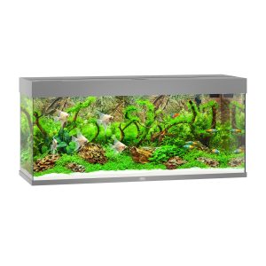 Juwel Aquarium Rio 240, 121x41x55cm,gris 240L,2x21W LED,filtre 600L/h,chauf. 200W