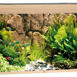 Juwel Aquarium Rio 350 121x51x66cm clair 350L,2x21W LED,Filt. 1000L/h,chauf. 300W