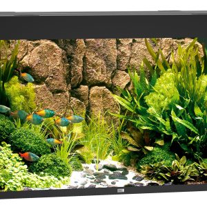 Juwel aquarium Rio 350, 121x51x66cm,noir 350L,2x21W LED,Filt. 1000L/h,chauf. 300W
