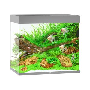 Juwel Aquarium Lido 200, 71x51x65cm,gris 200L,2x11W LED,filtre 600L/h,chauf. 200W