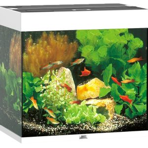 Juwel Aquarium Lido120. 61x41x58cm blanc 120L,2x10W LED,Filt. 500L/h,chauf 100W