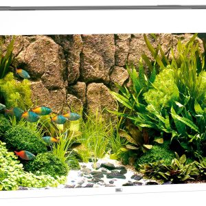 Juwel Aquarium Rio 300,121x51x66cm,blanc 350L,2x21W LED,Filt. 1000L/h,chauf 300W