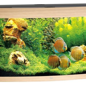 Juwel Vision 260 LED,121x46x64cm, clair 260L,2x21W LED,Filt. 1000L/h, chauf 300W