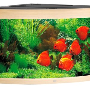 Juwel Trigon 350 LED, 123x87x65cm, clair 350L,2x10/2x17W LED,Filt.1000L/h,H. 300W