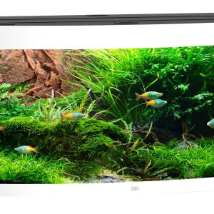 Juwel Vision 450 LED, 151x61x64cm blanc 450L,4x23W LED,Filt. 1000L/h,chauff 300W