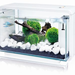Amazonas Aquarium E-25, 25L blanc 470x250x285mm, filtre, éclairage avec se