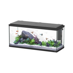 AQTL Explorer Amsterdam 80 LED, noir 85L,1x17W, chauffage 100W, filtre 230L/h