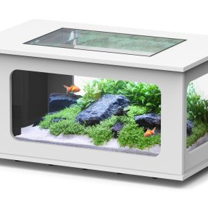 AQTL Aquatable 100x63x51.5cm,177L, blanc 177l,2x28W,chauffage 200W, filtre 650L/h