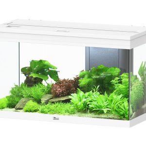 AQTL Volga 125, 82.5x37.7x50.1cm, blanc 125L,1x36W, chauffage 100W filtre 650L/h