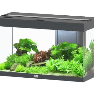 AQTL Volga 125, 82.5x37.7x50.1cm, gris 125L,1x36W, chauffage 100W filtre 650L/h