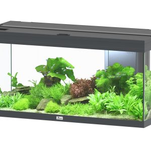 AQTL Volga 180, 103.5x42.7x51.1cm,gris 180L,1x44W, chauffage 200W filtre 650L/h