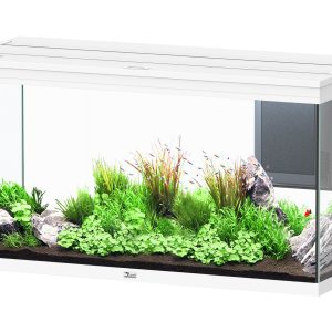 AQTL Volga 350, 122.5x52.7x66.1cm,blanc 350L,2x52W, chauffage 300W filtre 810L/h