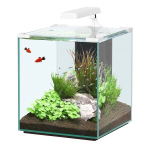 AQTL Nano Cubic 40,32.5x35.5x45cm blanc 36L,1x6W, chauffage 50W, filtrer 301L/h