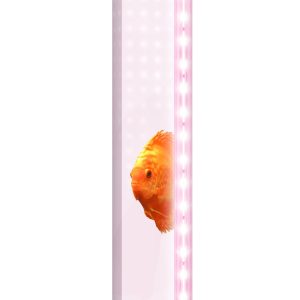 Tube fluorescent LED Color 21W 1047mm pour Juwel Rio 240, Rio 350, Vision 260