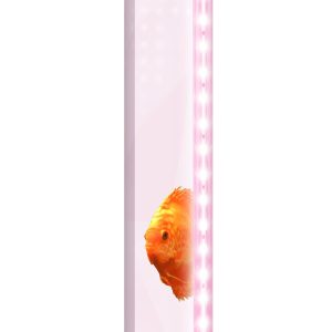 Tube fluorescent LED Color 23W 1200mm pour Juwel Rio 450, Vision 450
