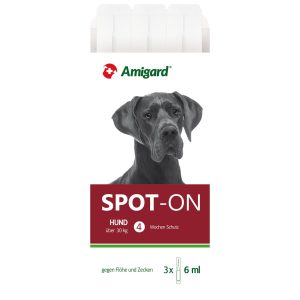 Amigard Spot-on chien,>30kg, 3x6ml