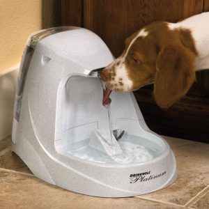 Drinkwell Platinum fontaine à eau, 5L 26x25x40cm, av.filtre charbon actif