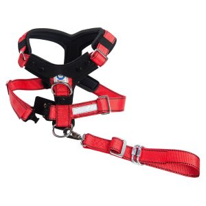 Allsafe Comfort Harnais de sécurité XL TÜV testé, crash testé, pour chiens