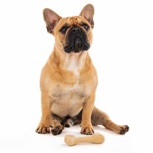 M-Pets Os en caoutchouc naturel S, 11,5 x 3,5 x 2,5 cm